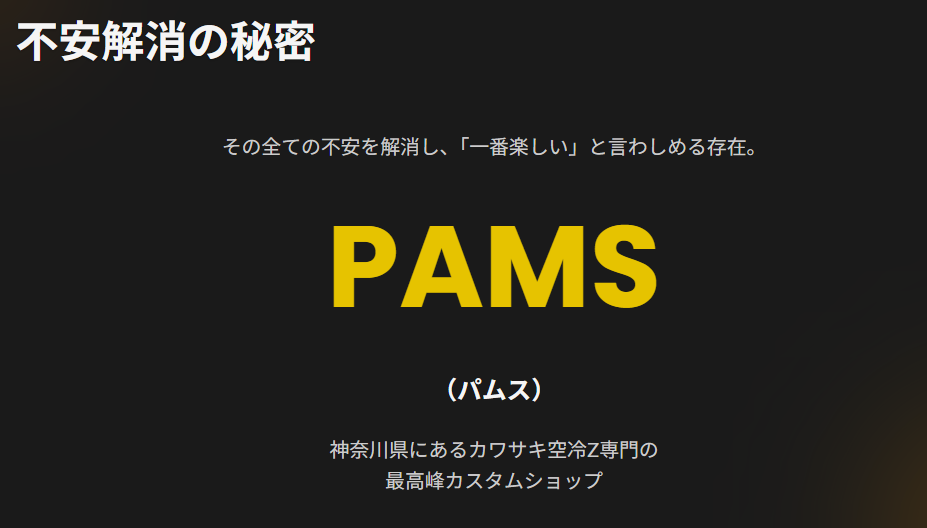空冷Zの巨匠「PAMS(パムス)」とは